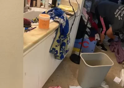 Eco-Friendly Cleaning Company