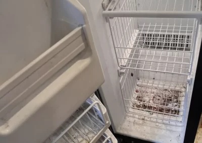 Professional Cleaning Company