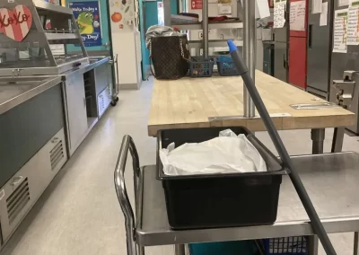 Professional House Cleaning