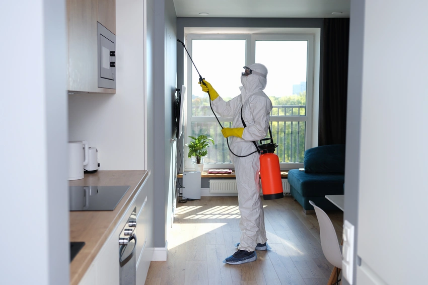 Affordable Home Sanitizing Service Brentwood CA Affordable Home Sanitizing Service Brentwood CA