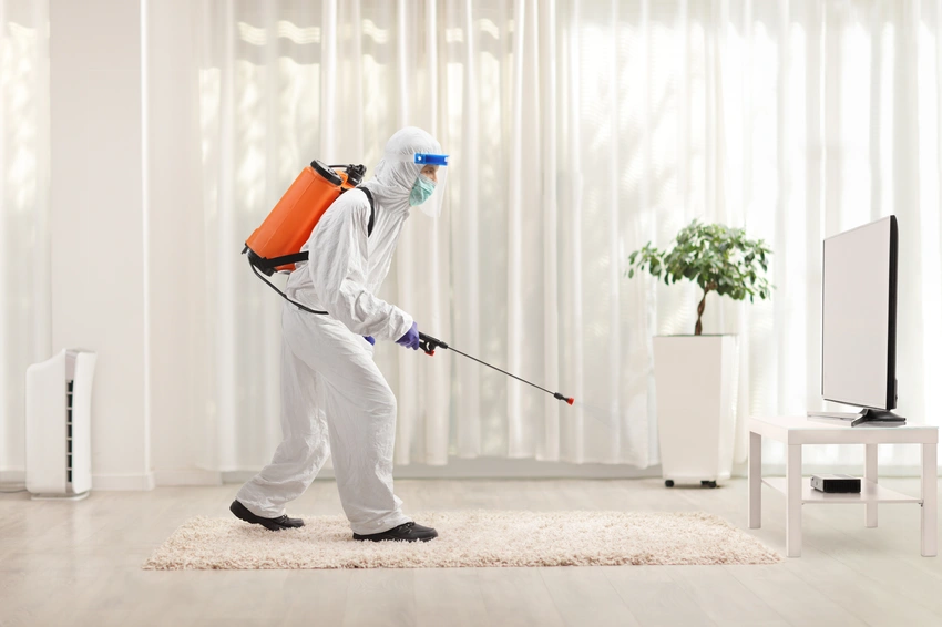 How Home Sanitizing Services Reduce Household Germs Brentwood CA