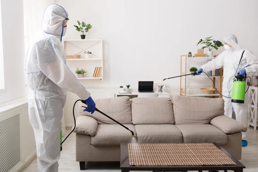 The Importance Of Regular Home Sanitizing For Families in Brentwood CA The Importance Of Regular Home Sanitizing For Families in Brentwood CA